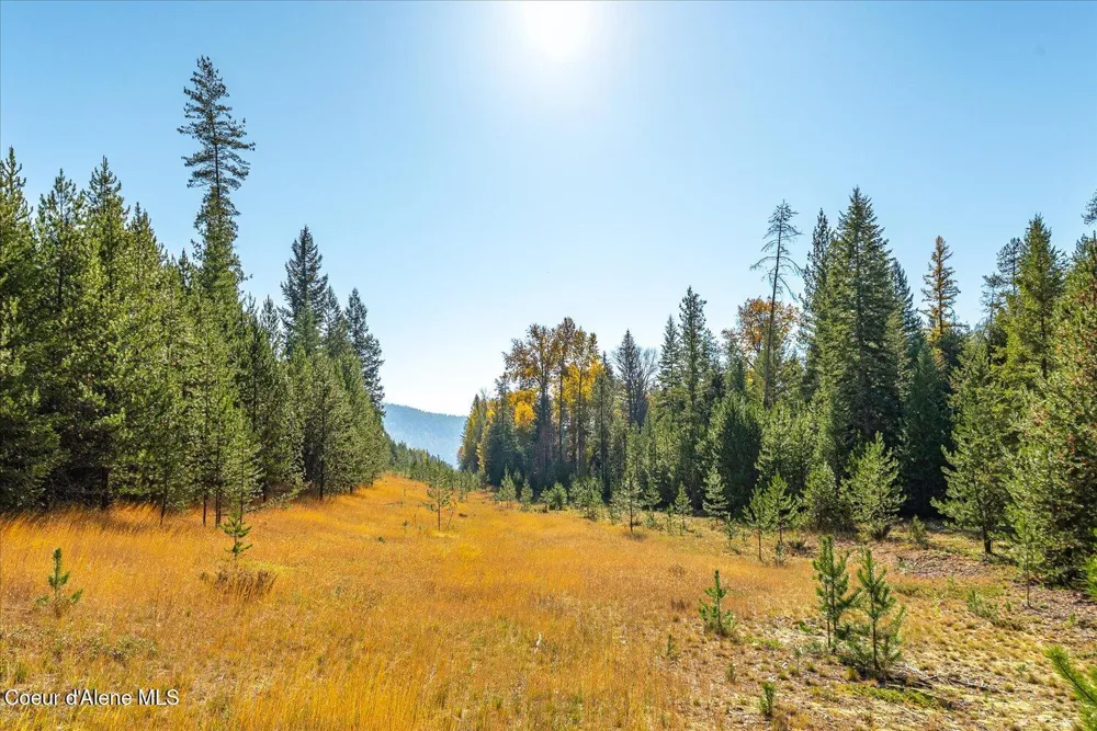 NNA Moyie River Rd Lot 2 and 3 Bonners Ferry, ID 83805