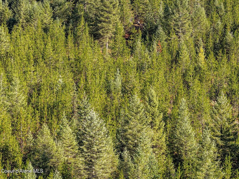 NNA Moyie River Rd Lot 2 and 3 Bonners Ferry, ID 83805