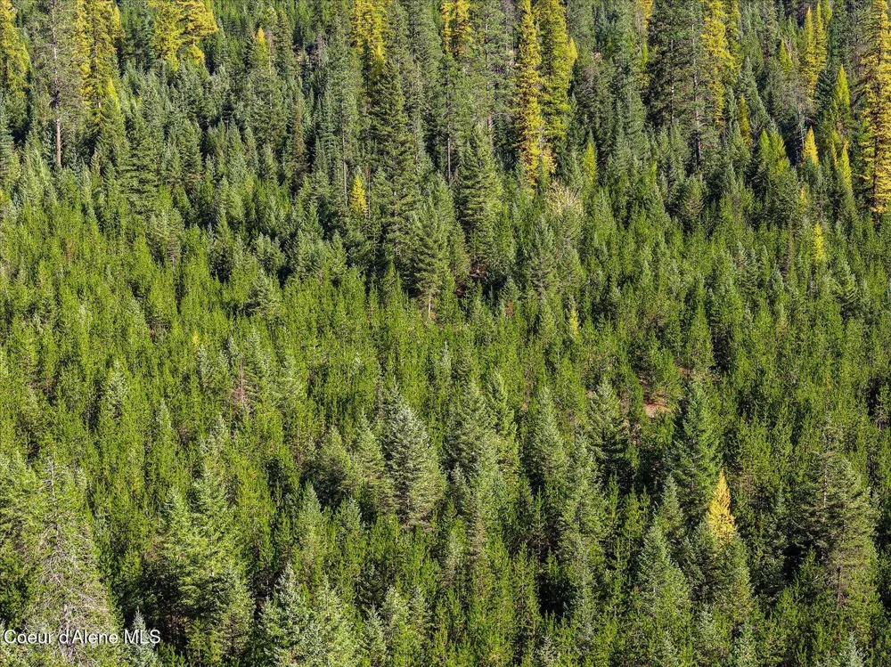 NNA Moyie River Rd Lot 2 and 3 Bonners Ferry, ID 83805