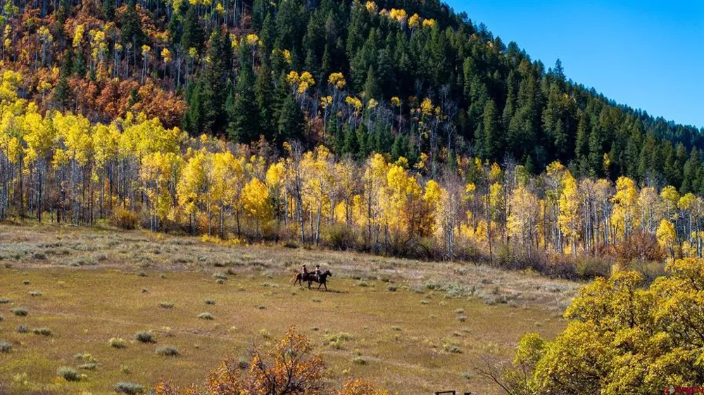 30680 County Road 12 Somerset, CO 81434