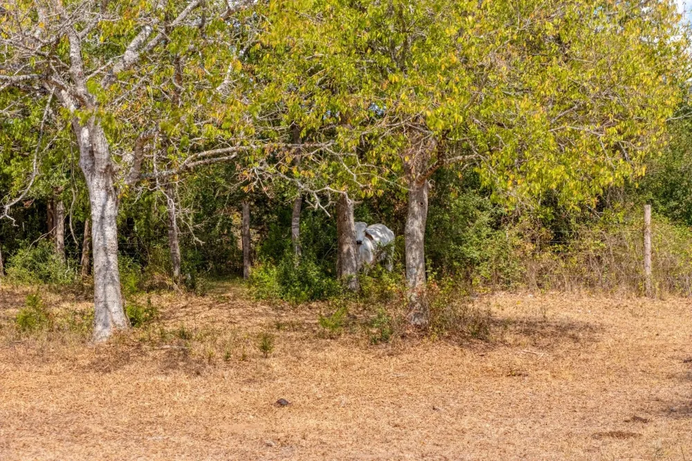 1901 E State Highway 21 #B Paige, TX 78659
