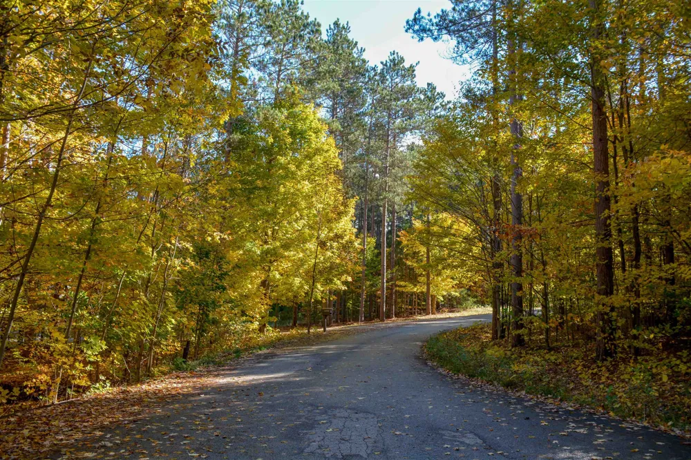 W Timber Lane Kasson Township, MI 49630