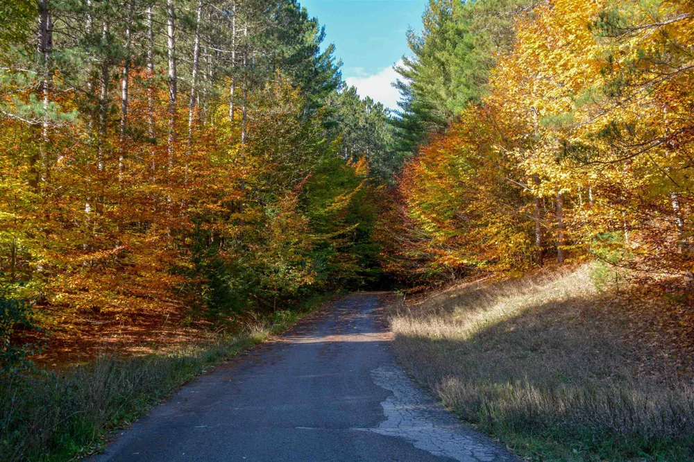 W Timber Lane Kasson Township, MI 49630