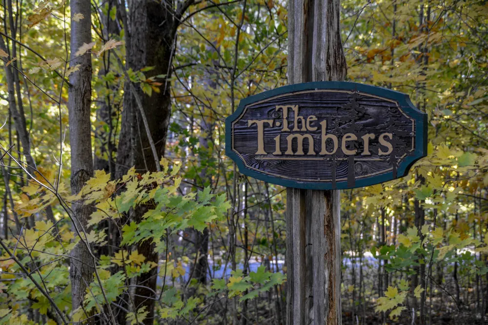 W Timber Lane Kasson Township, MI 49630