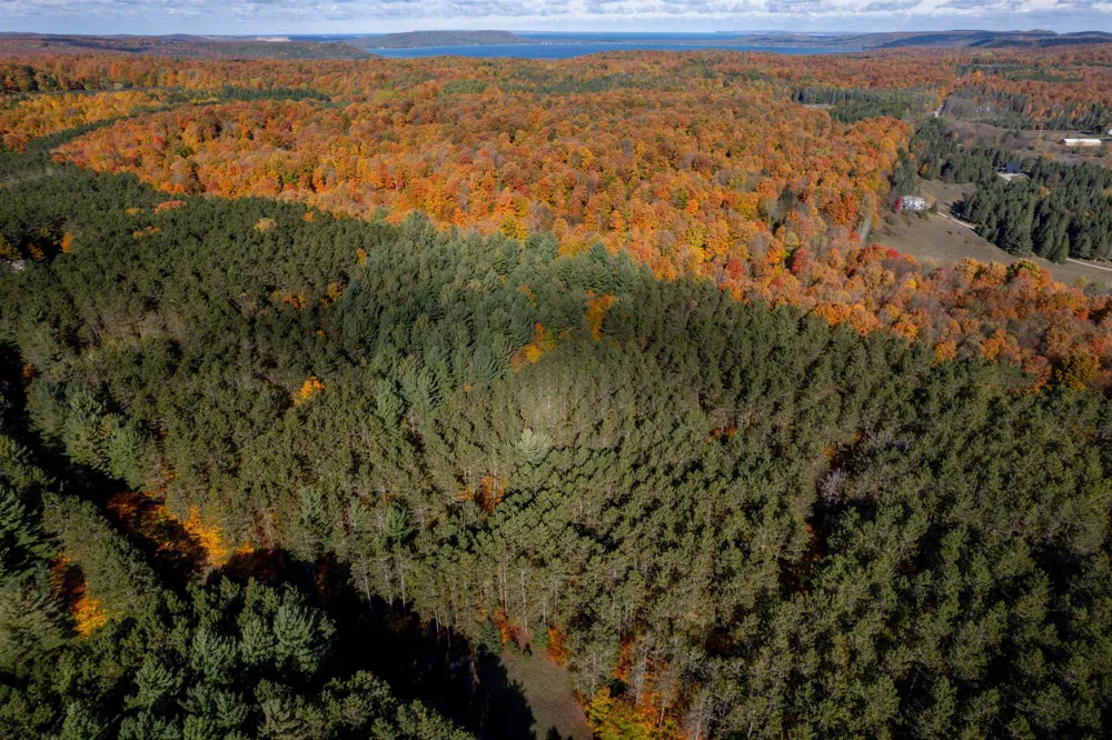 W Timber Lane Kasson Township, MI 49630