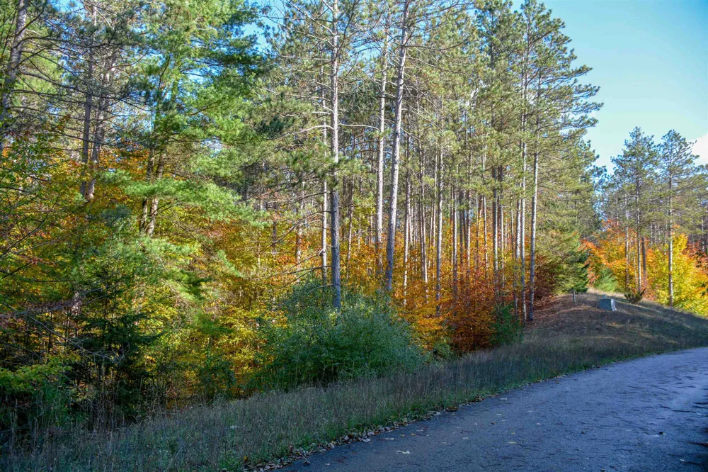 W Timber Lane Kasson Township, MI 49630