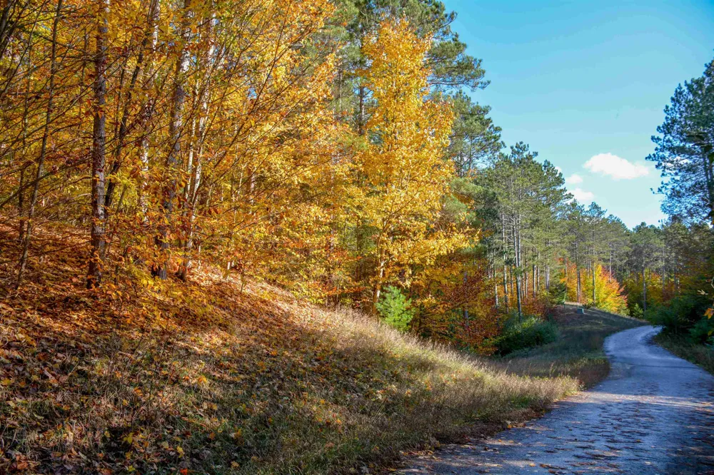 W Timber Lane Kasson Township, MI 49630