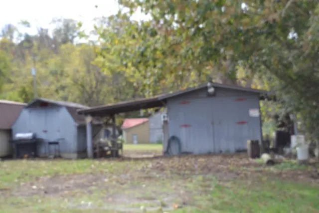 218 E Lake Ave Celina, TN 38551