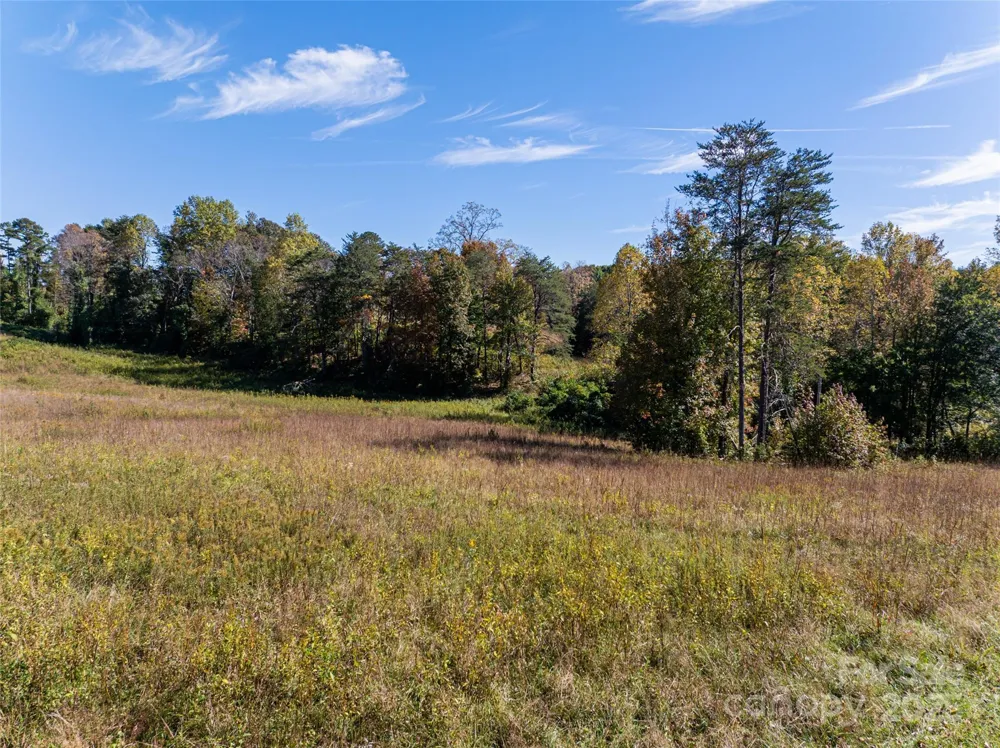 00000 A R Thompson Road #27 Mill Spring, NC 28756
