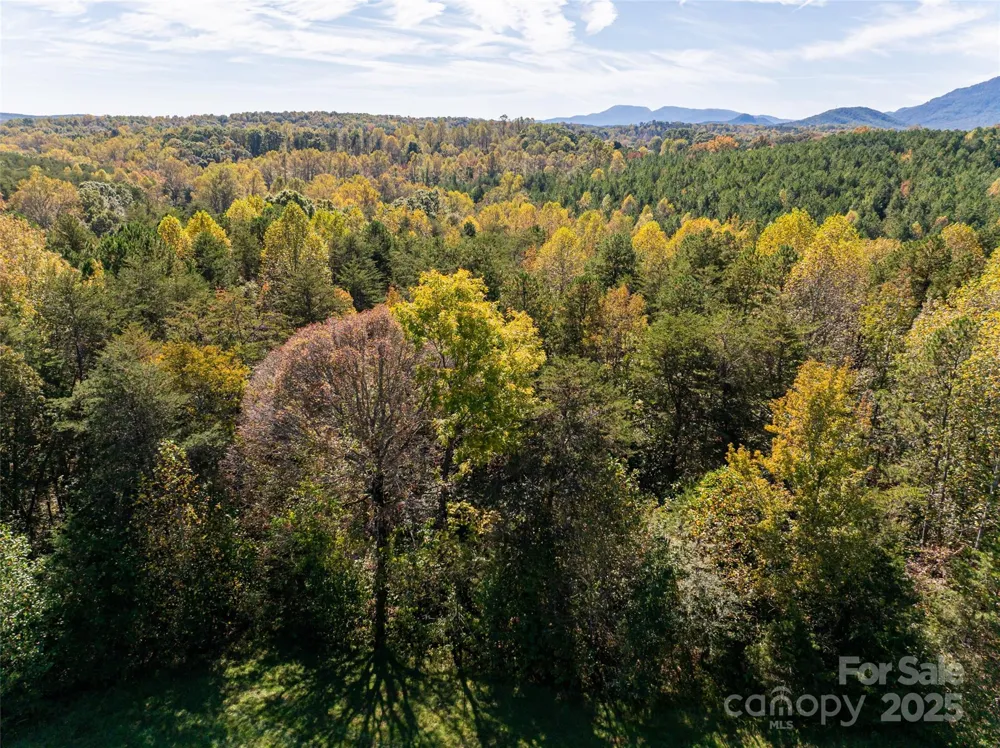 00000 A R Thompson Road #27 Mill Spring, NC 28756