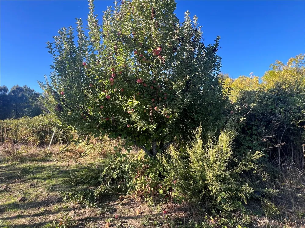 11255 Rancheria Rd Upper Lake, CA 95485