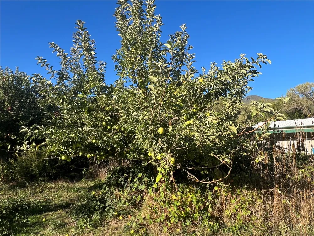 11255 Rancheria Rd Upper Lake, CA 95485