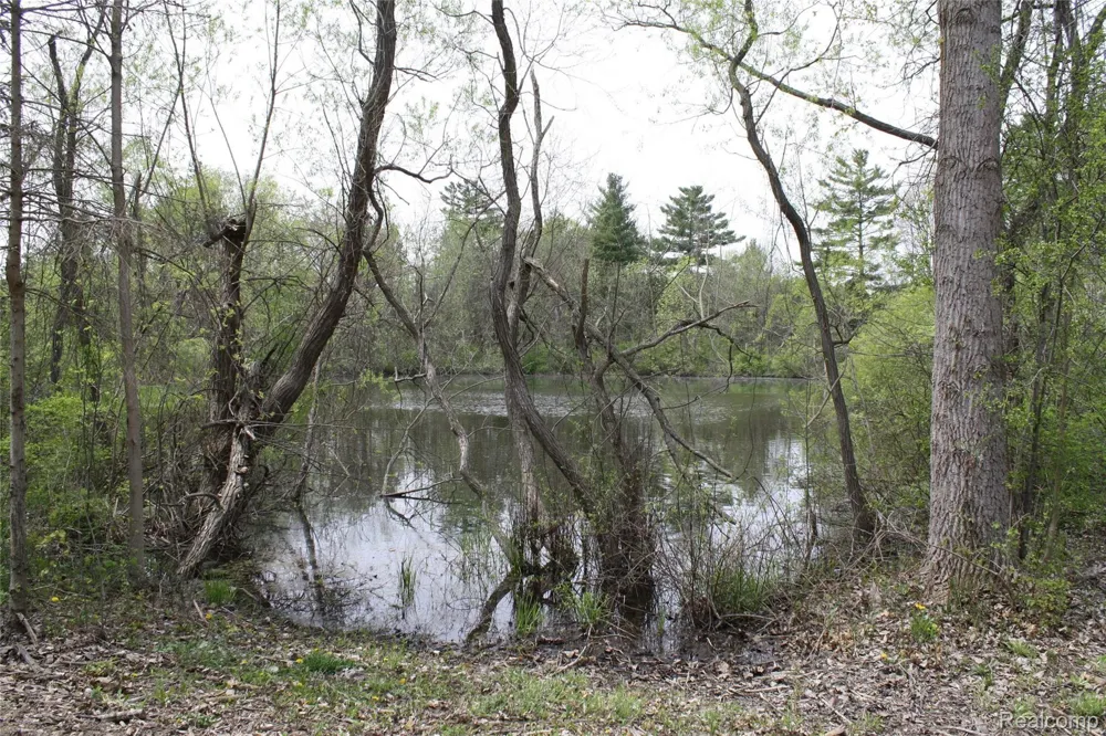 Waterside Lane Brighton City, MI 48114
