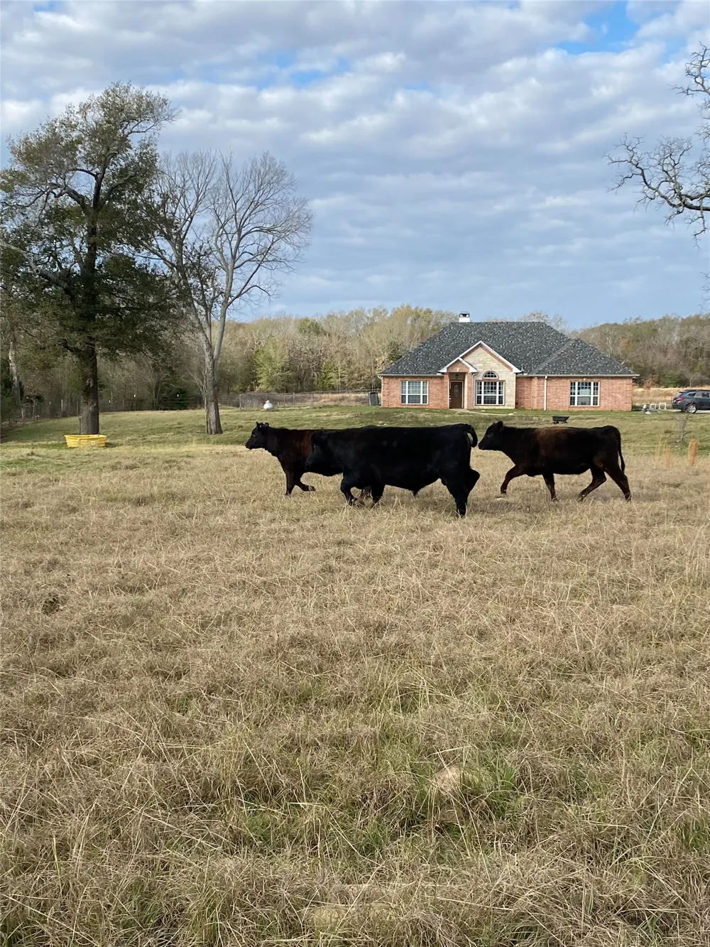14856 Fm 59 Athens, TX 75751