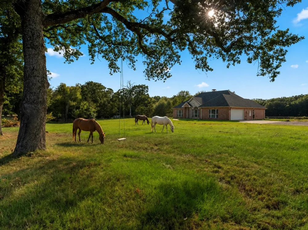 14856 Fm 59 Athens, TX 75751