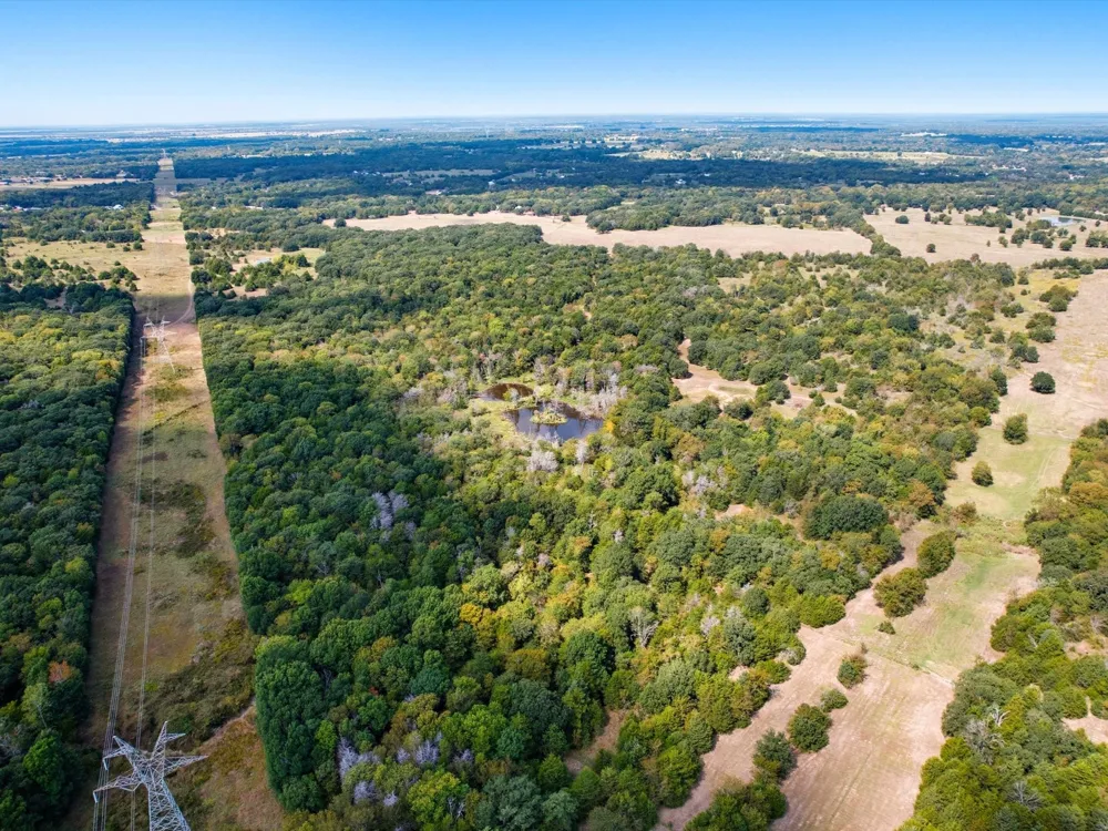 CR-339 Terrell, TX 75161