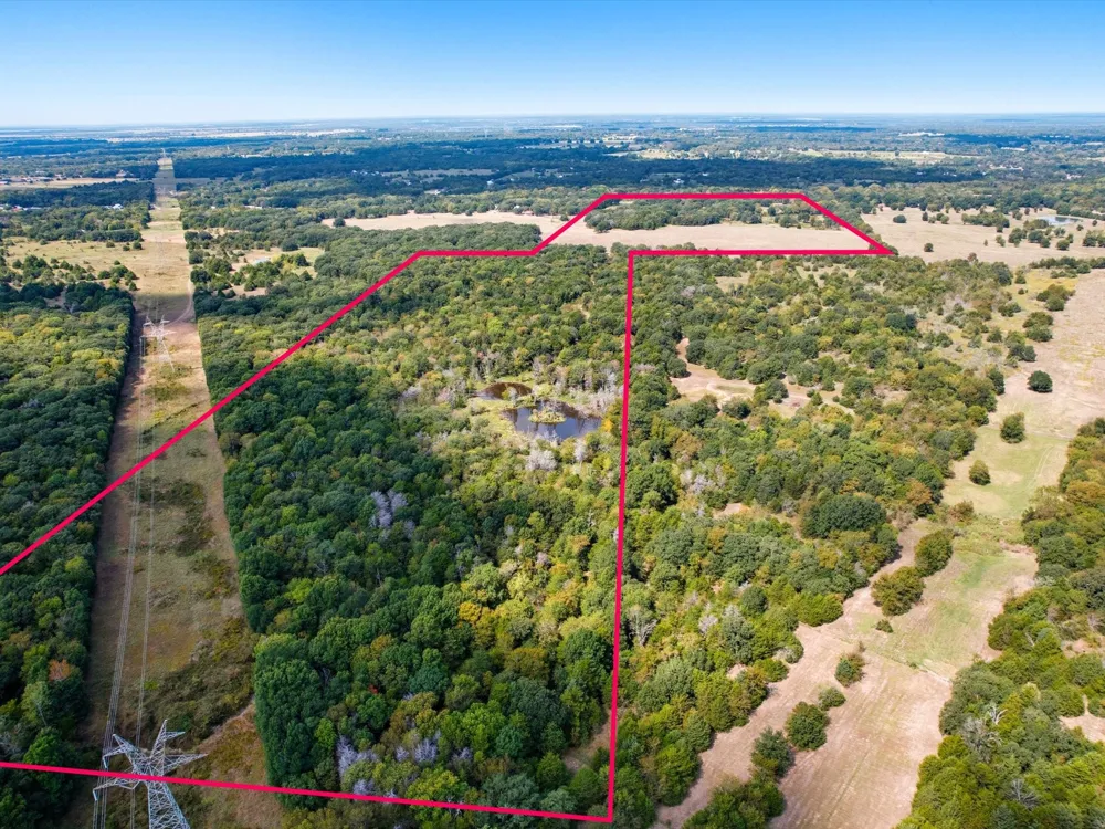 CR-339 Terrell, TX 75161