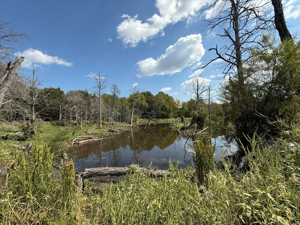 CR-339 Terrell, TX 75161