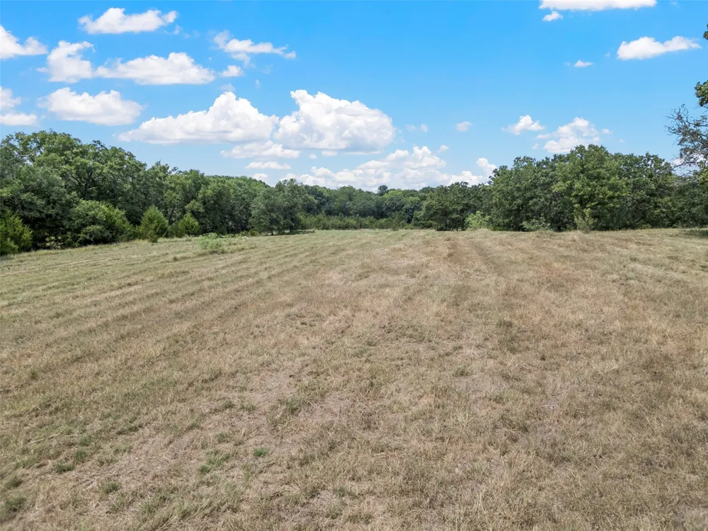 CR-339 Terrell, TX 75161