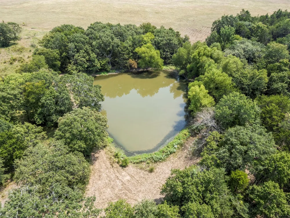 CR-339 Terrell, TX 75161