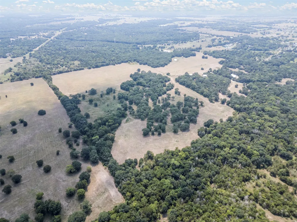 CR-339 Terrell, TX 75161