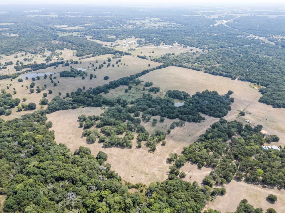 CR-339 Terrell, TX 75161