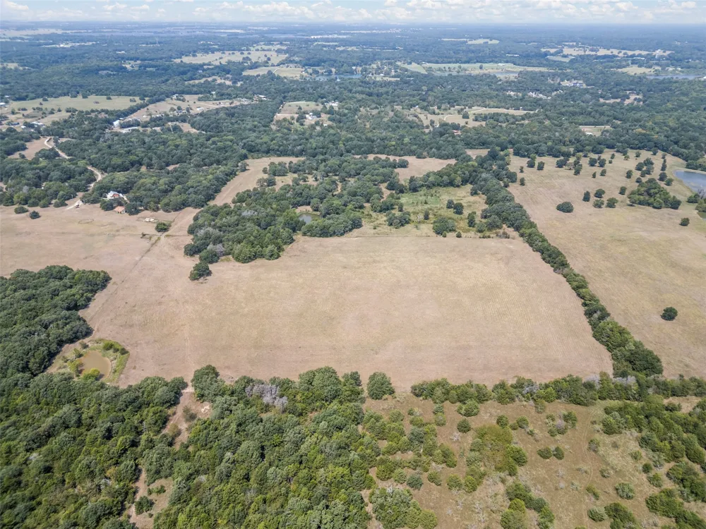 CR-339 Terrell, TX 75161