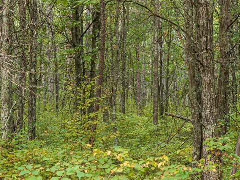 Lot A Sandbar Lane