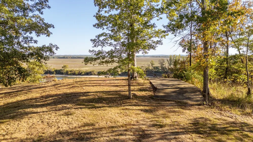 60 SLEEPY HOLLOW LN Morris Chapel, TN 38361