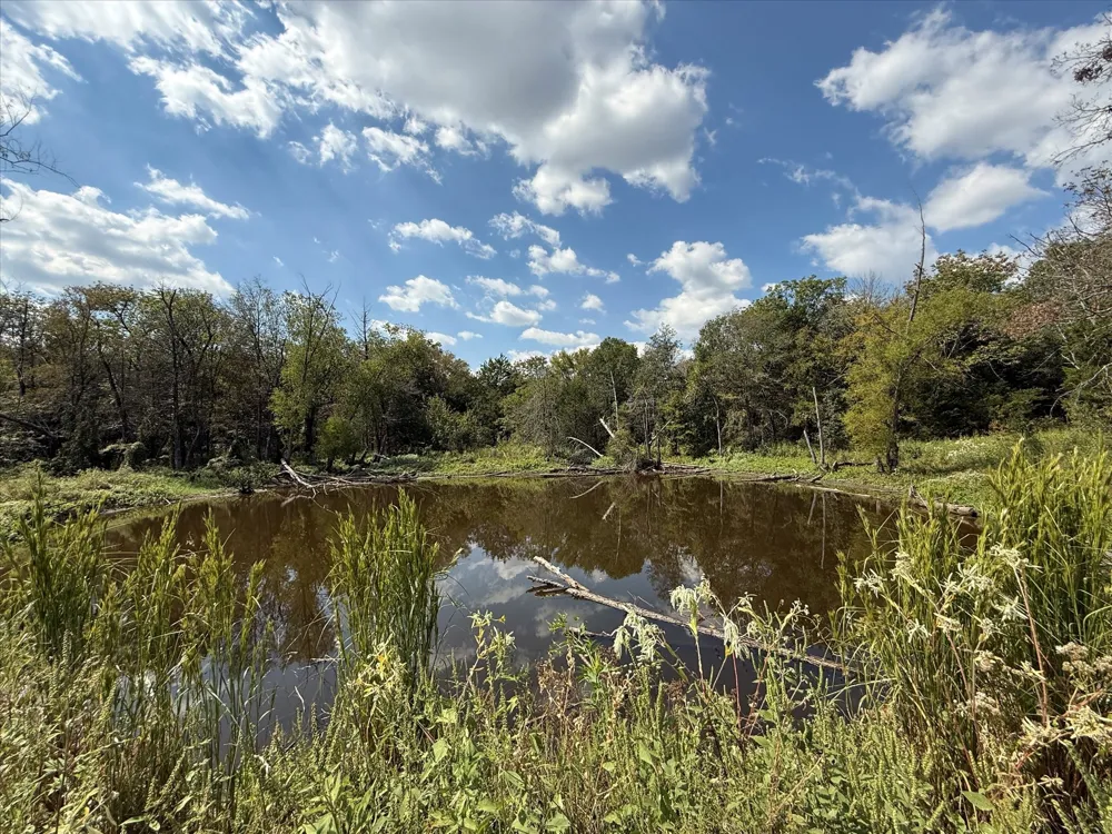 16043 County Road-339 Terrell, TX 75161