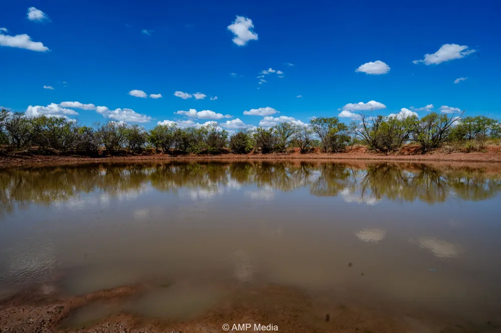 4538 County Road 463 Rule, TX 79547
