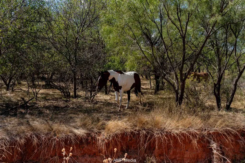 4538 County Road 463 Rule, TX 79547