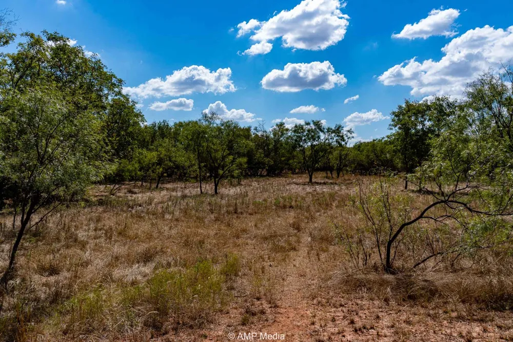 4538 County Road 463 Rule, TX 79547