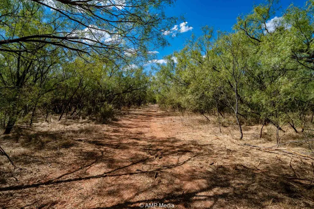 4538 County Road 463 Rule, TX 79547