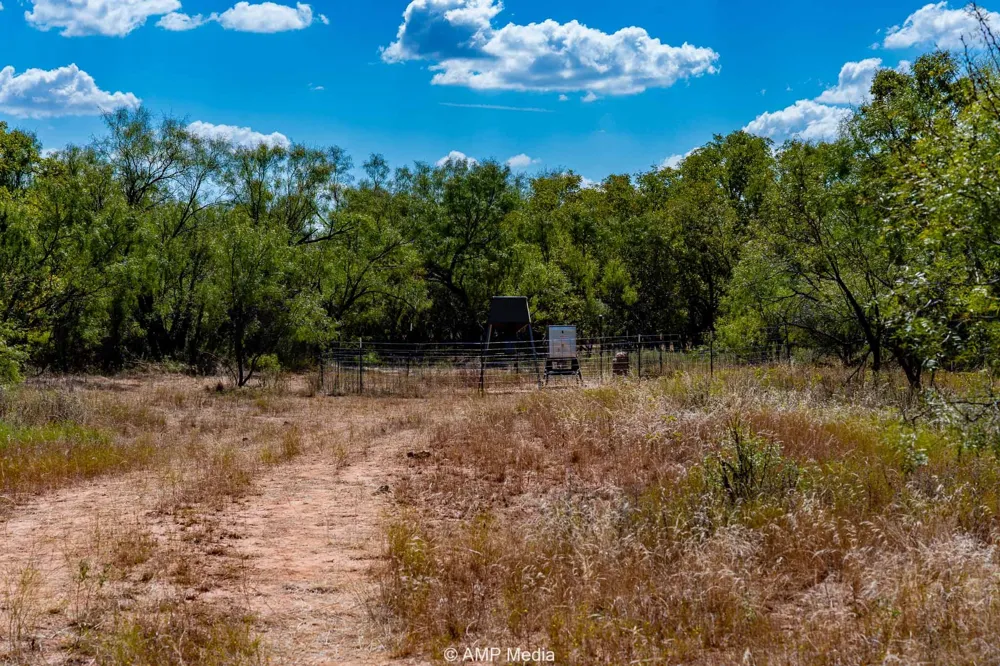 4538 County Road 463 Rule, TX 79547