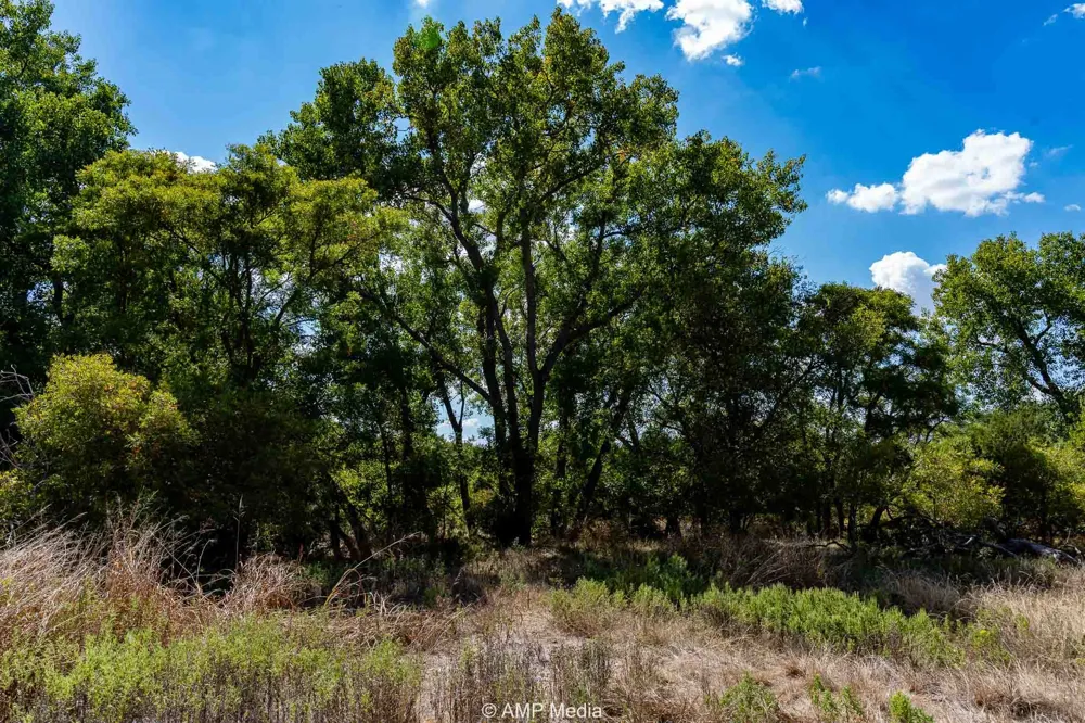 4538 County Road 463 Rule, TX 79547