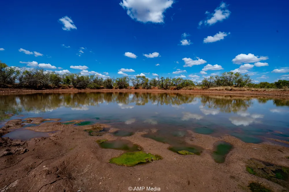4538 County Road 463 Rule, TX 79547