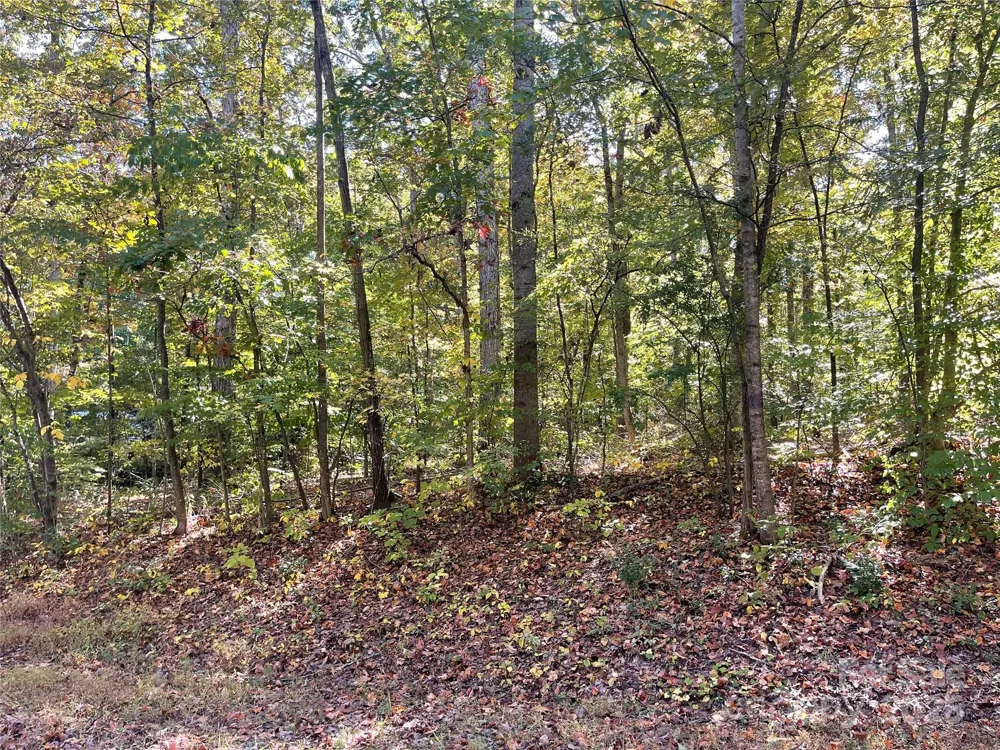 00 Heather Lane Mount Holly, NC 28120