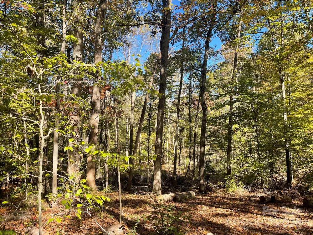 00 Heather Lane Mount Holly, NC 28120