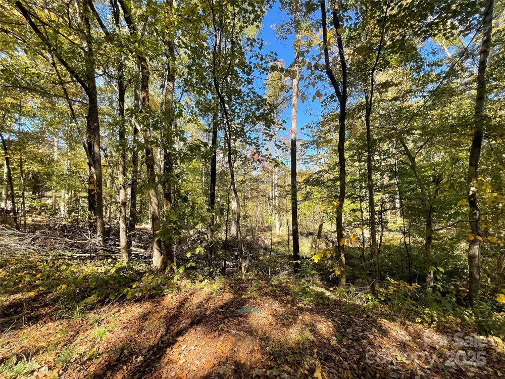 00 Heather Lane Mount Holly, NC 28120