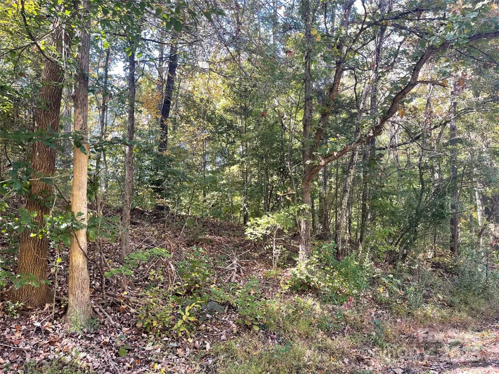 237 Lamplighter Lane Mount Holly, NC 28120