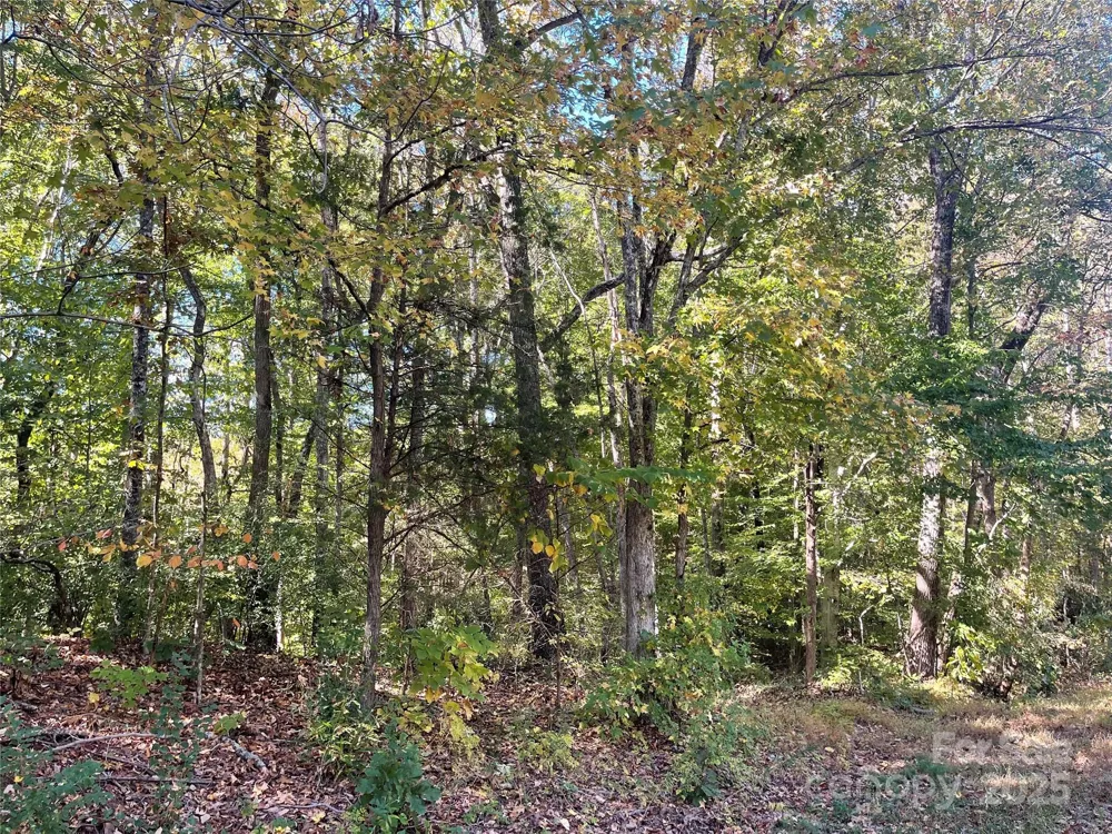 237 Lamplighter Lane Mount Holly, NC 28120