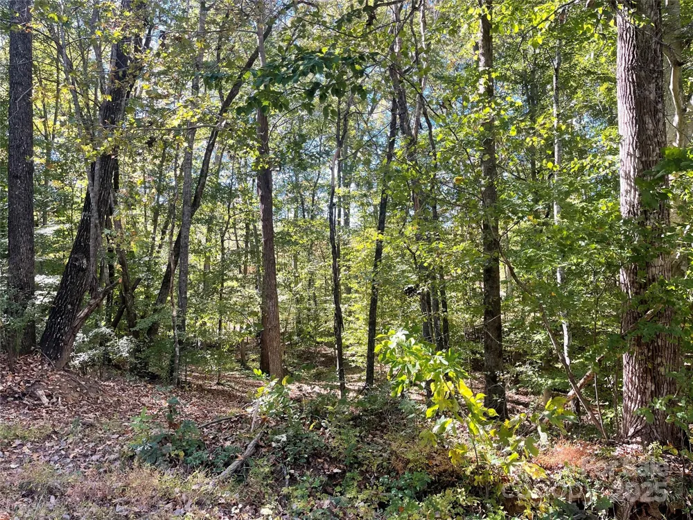 237 Lamplighter Lane Mount Holly, NC 28120
