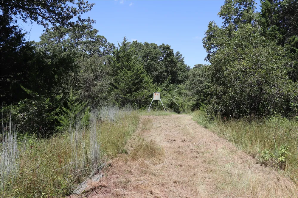 36 FM 1749 Sunset, TX 76270