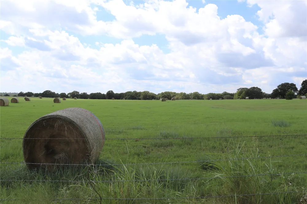 36 FM 1749 Sunset, TX 76270