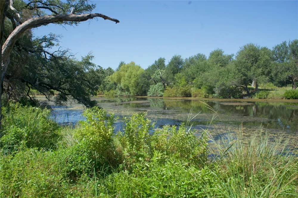 585 Hickory Spring Road Fredericksburg, TX 78624