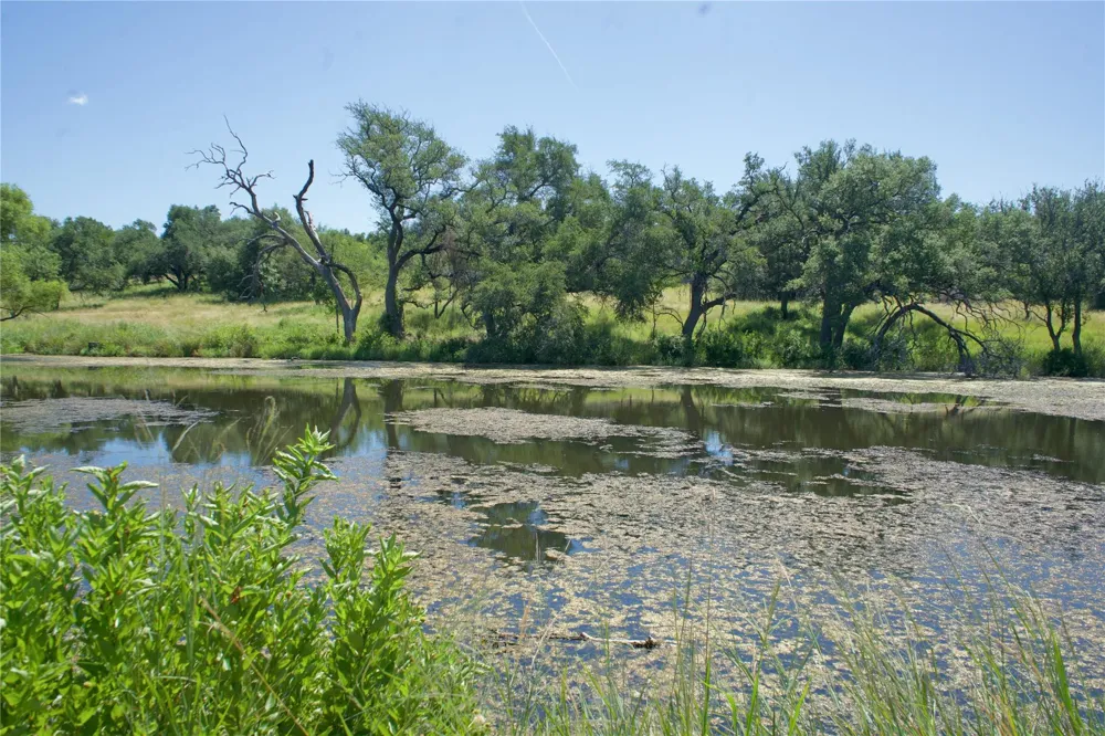 585 Hickory Spring Road Fredericksburg, TX 78624