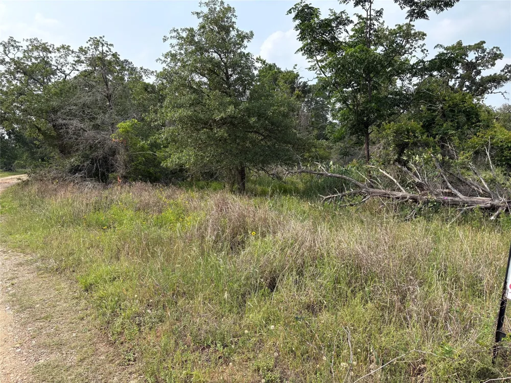 Deer Loop Road La Grange, TX 78945