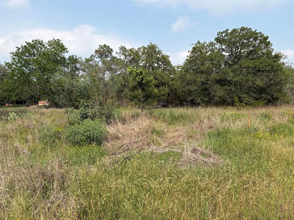 Deer Loop Road La Grange, TX 78945