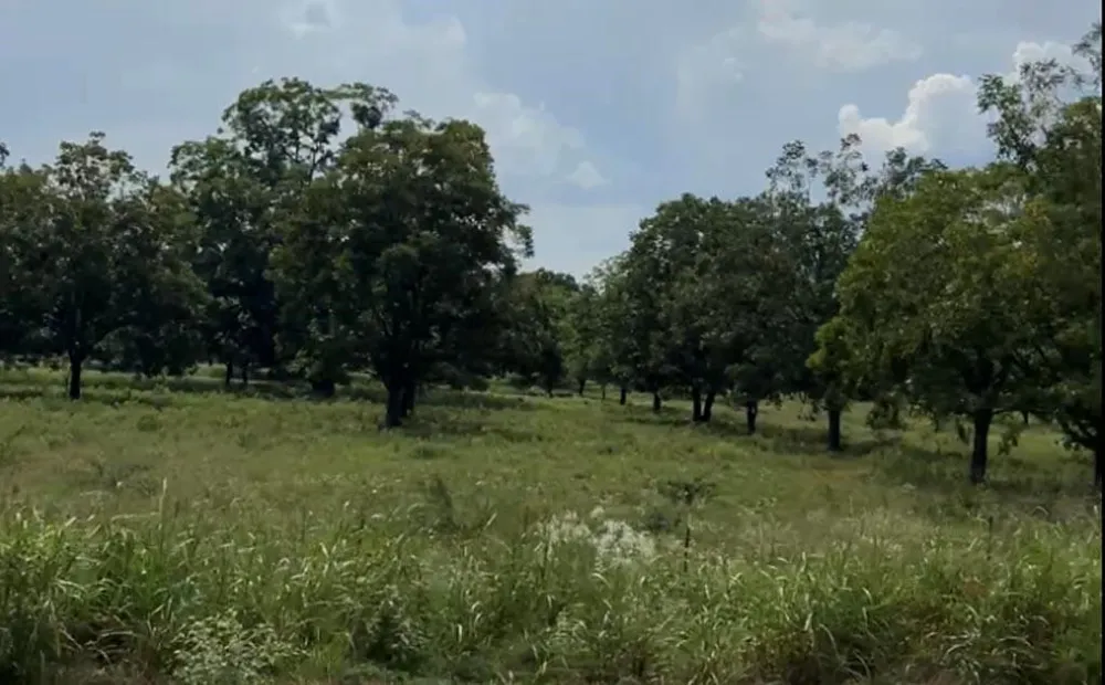 2 Fm 2548 Midway, TX 75852